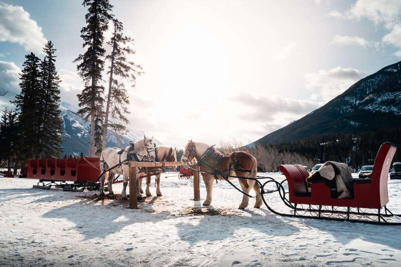 Banff: Family Friendly Horse-Drawn Sleigh Ride - Staying warm is the key to enjoying it