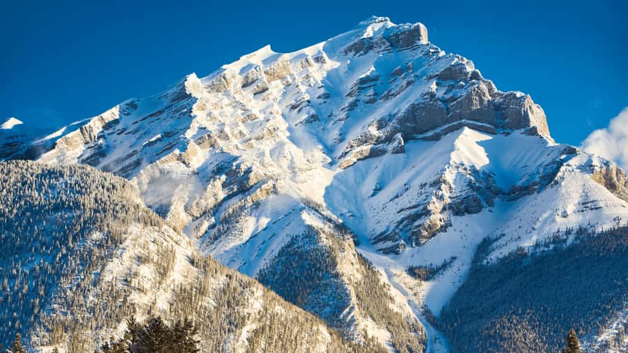 Banff: Gondola Ticket and Johnston Canyon Hiking Tour - Guides, language, and group experience
