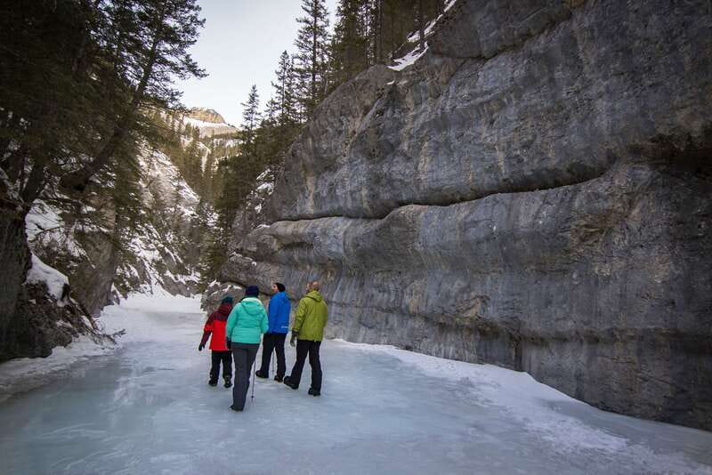 Banff: Grotto Canyon Icewalk - Practical Details Before You Reserve