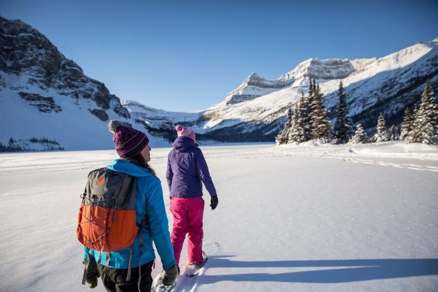Banff: Icefields Parkway & Abraham Lake Ice Bubbles Tour - Peyto Lake brings snow and effort