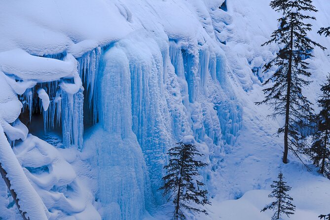 Banff, Lake Louise and Johnston Canyon - Winter Wonderland Tour - What the $180.96 price really covers