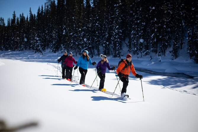 Banff, Lake Louise and Johnston Canyon - Winter Wonderland Tour - Cold-weather preparation matters