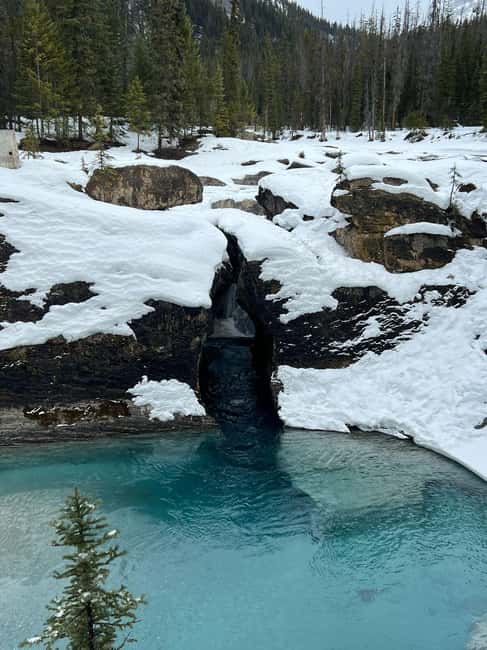 Banff: Lake Louise, Emerald, Moraine Lake & Johnston Canyon - Lake Louise, the headline stop