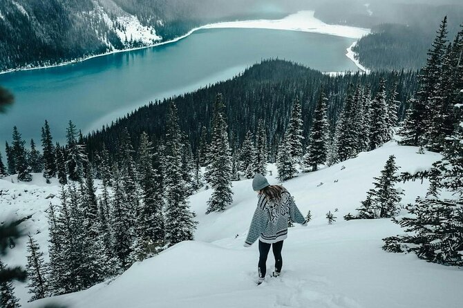Banff: Lake Louise, Marble Canyon, Bow Lake, Peyto Lake Tour - Marble Canyon offers an easy walk in winter