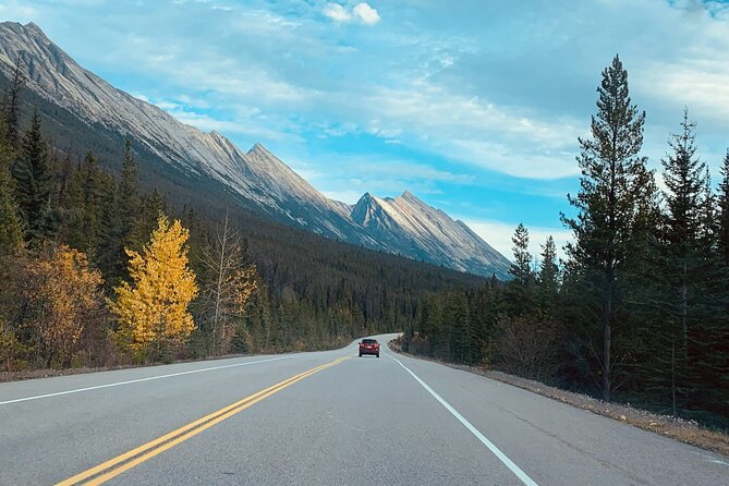 Banff: Lake Louise, Marble Canyon, Bow Lake, Peyto Lake Tour - What the $63.48 price really covers