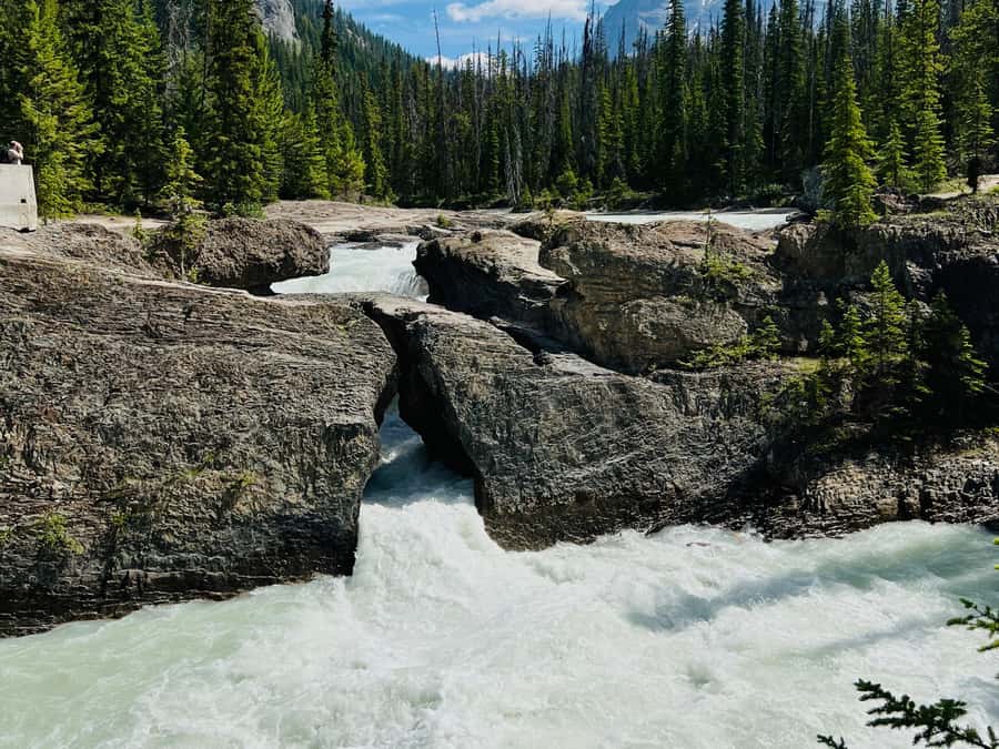 Banff: Moraine Lake, Lake Louise, Emerald Lake and Yoho Trip - The Guides Make the Long Drives Easier