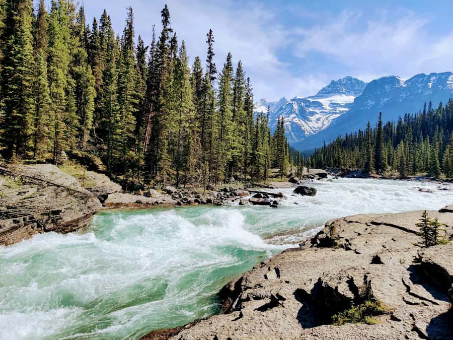 Banff: Moraine Lake, Lake Louise, Emerald Lake and Yoho Trip - Moraine Lake or Marble Canyon by Season
