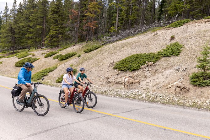 Banff Mountain Lakeside - E-bike Tour - Key points at a glance