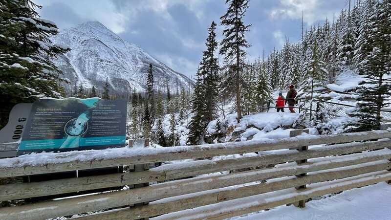 Banff National Park: Canyons, Lakes & Local Favourites - What the small group and vehicle mean