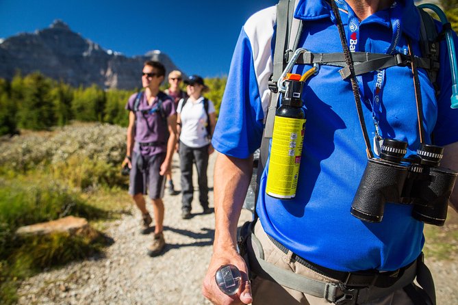 Banff National Park Guided Hike with Lunch - Price and value at $153.71