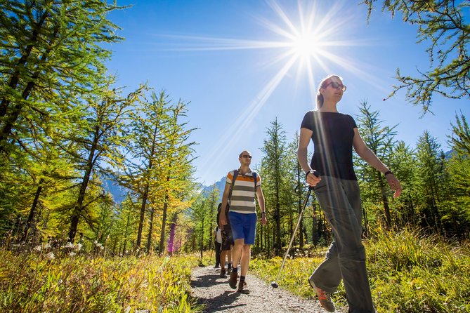Banff National Park Guided Hike with Lunch - Booking, weather, and cancellation details