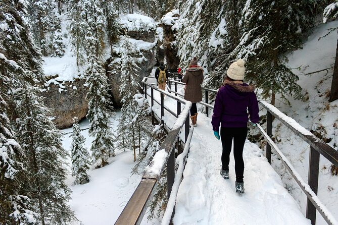 Banff National Park & Lake Louise FULL DAY PRIVATE TOUR - Bow Falls, Surprise Corner, and the Banff views