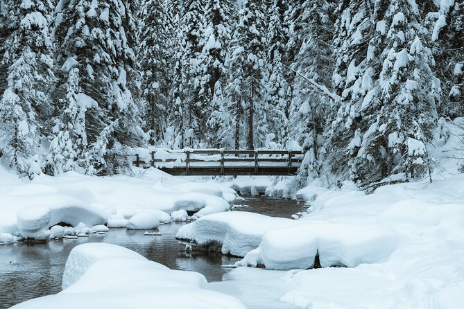Banff National Park & Lake Louise FULL DAY PRIVATE TOUR - Banff Avenue gives you time to choose