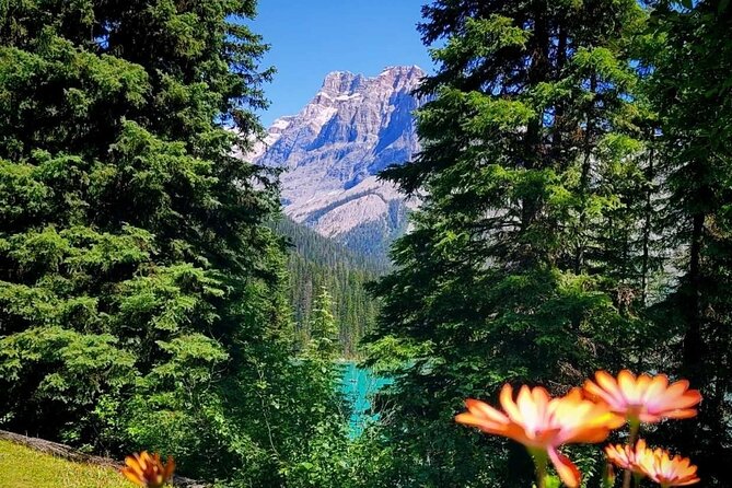 Banff National Park Moraine Lake and Lake Louise Explorer Tour - Is $74.08 a fair price?