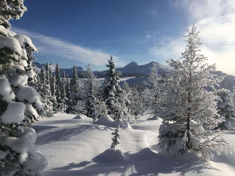 Banff National Park: Sunshine Meadows Snowshoeing Experience - What the 2.5-hour guided walk is like
