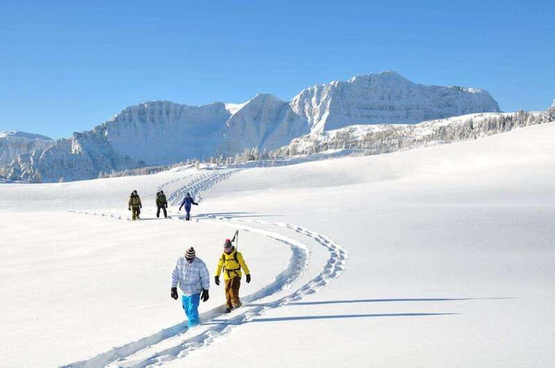 Banff National Park: Sunshine Meadows Snowshoeing Experience - What is included for the $102 price