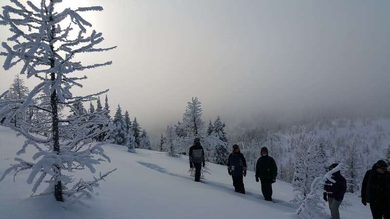 Banff National Park: Sunshine Meadows Snowshoeing Experience - The ride from Banff to Sunshine Village