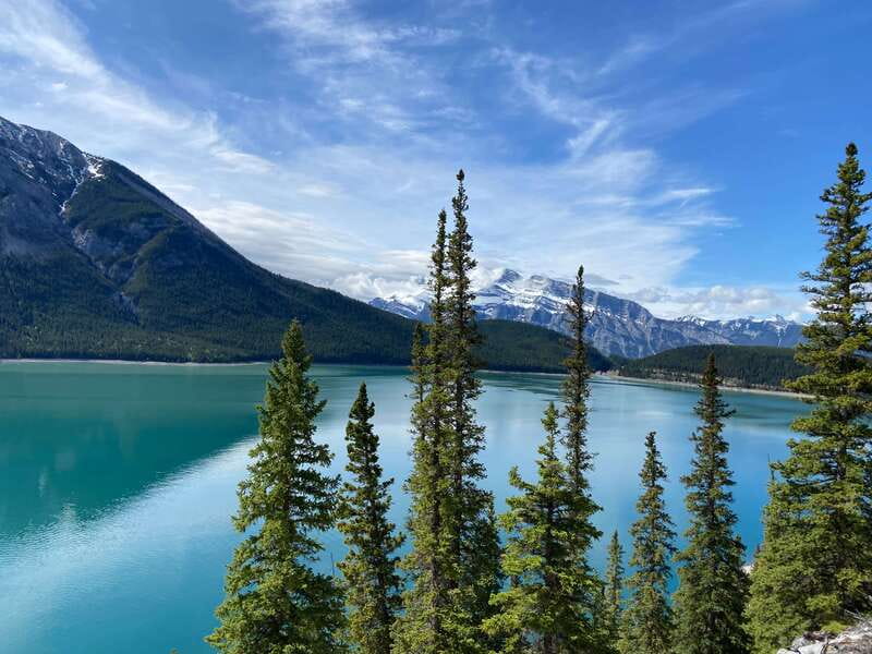 Banff PRIVATE Guided Nature Walk + Transportation - 2.5H - Should You Book the Banff Private Nature Walk?