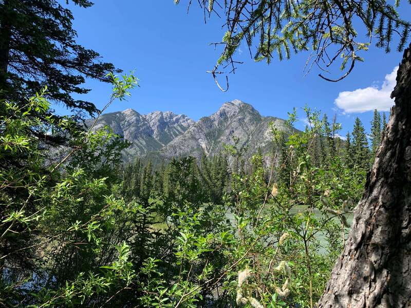 Banff PRIVATE Guided Nature Walk + Transportation - 2.5H - Private Group Benefits for Pace and Questions