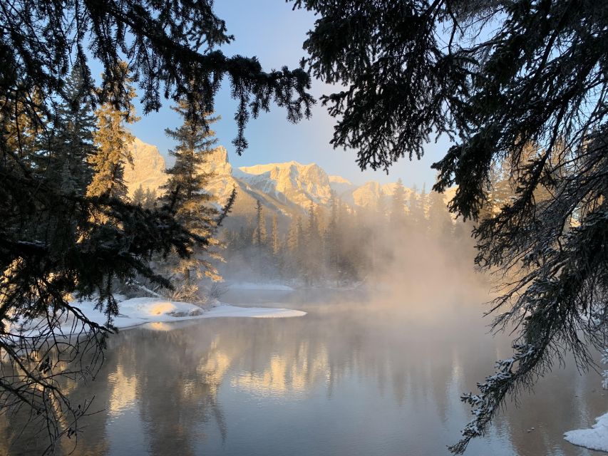 Banff PRIVATE Guided Nature Walk + Transportation - 2.5H - Booking Details That Matter