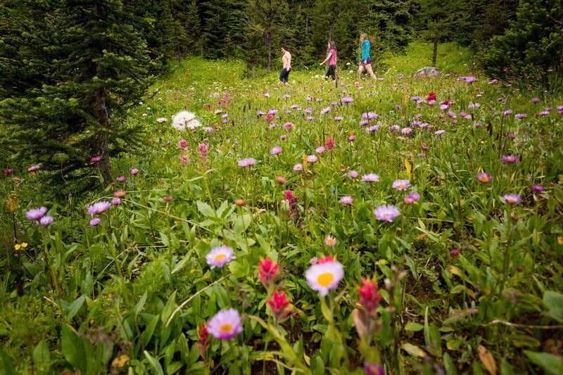 Banff PRIVATE Guided Nature Walk + Transportation - 2.5H - Two Hours Among Forests, Peaks, and Clear Water