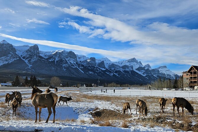 Banff Private Tour - Beyond the basics - Why a private Calgary to Banff day matters