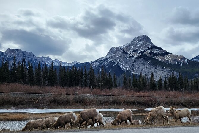 Banff Private Tour - Beyond the basics - The ride back to Calgary is part of the experience