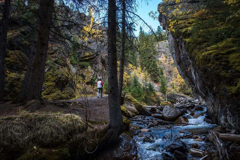 Banff: Thermal Waters and Hidden Waterfalls - 3hr Walk - Wildlife sightings and local nature
