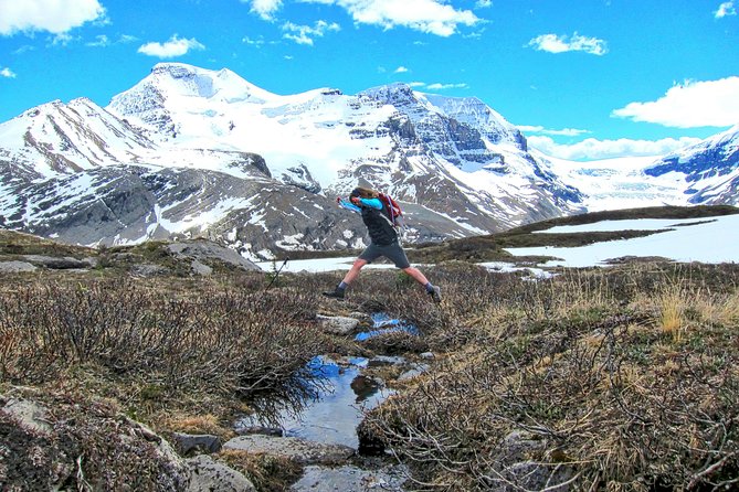 Banff to Jasper One-Way Tour - Who should book this tour