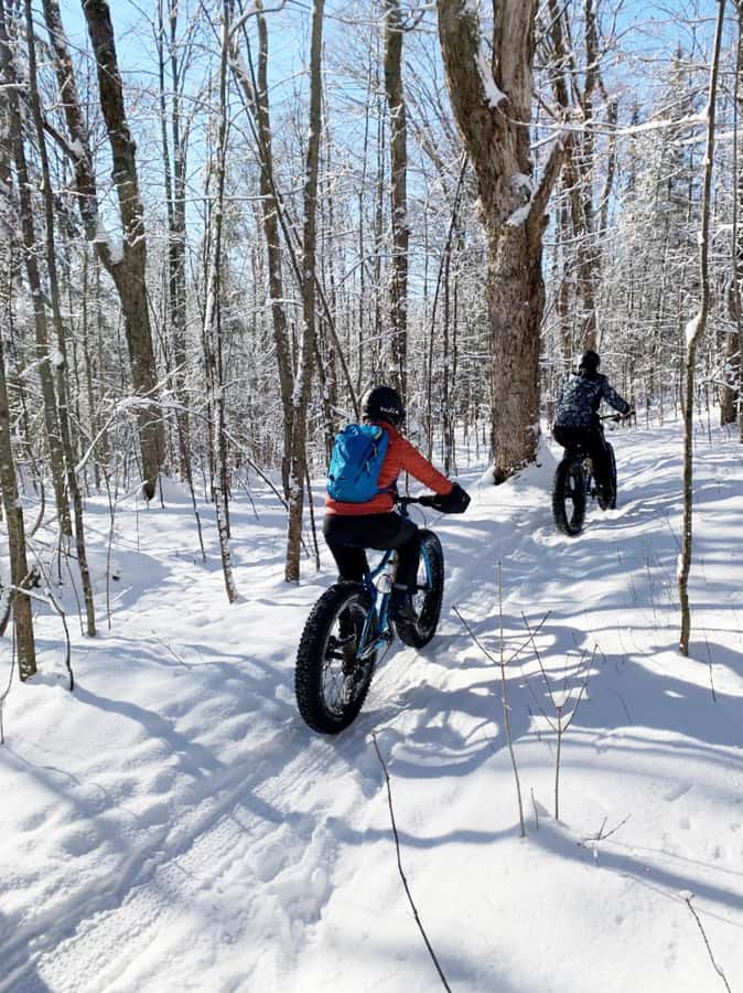 Banff Top Sights via Electric Fat Bike Tour All Skill Levels - Key points to know before booking
