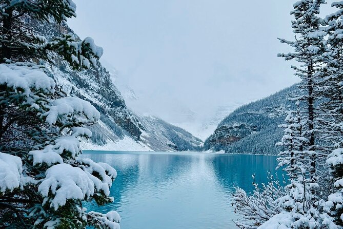 Banff Town, Lake Louise, Moraine, Emerald & Canyon Day Trip - A big Rockies day from Calgary