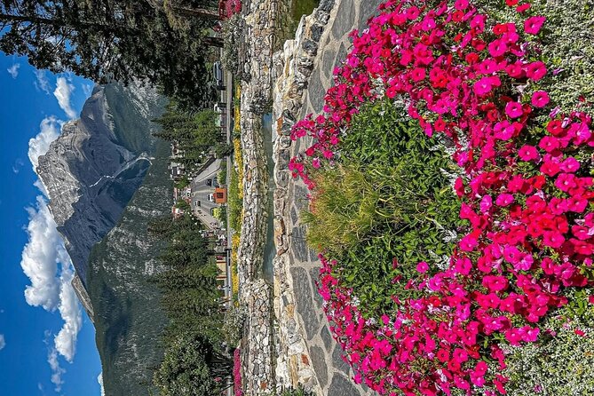 Banff Town Walking Tour Includes Refreshment and Sweet Treat - The included drink and sweet treat