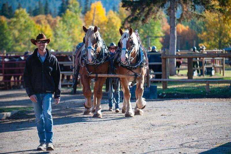 Banff: Wagon Ride with Cowboy Cookout BBQ - A gentle start at Warner Stables