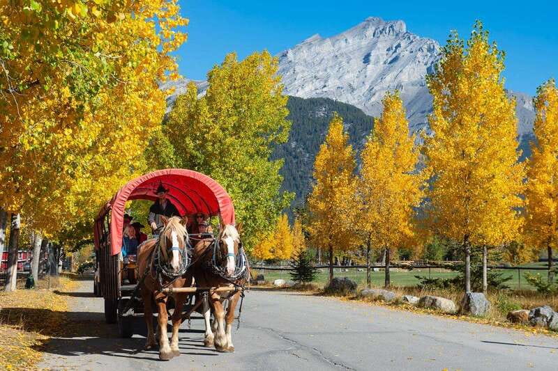 Banff: Wagon Ride with Cowboy Cookout BBQ - 3 Mile Cabin and the cowboy cookout
