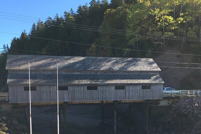 Bay of Fundy Tour by Bus - Stop one: Reversing Falls from Fallsview Park