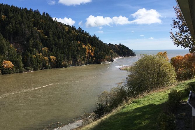 Bay of Fundy Tour by Bus - Stop four: Saint John City Market