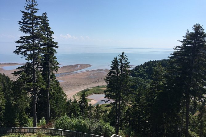 Bay of Fundy Tour by Bus - Lighthouses, covered bridges, and roadside surprises