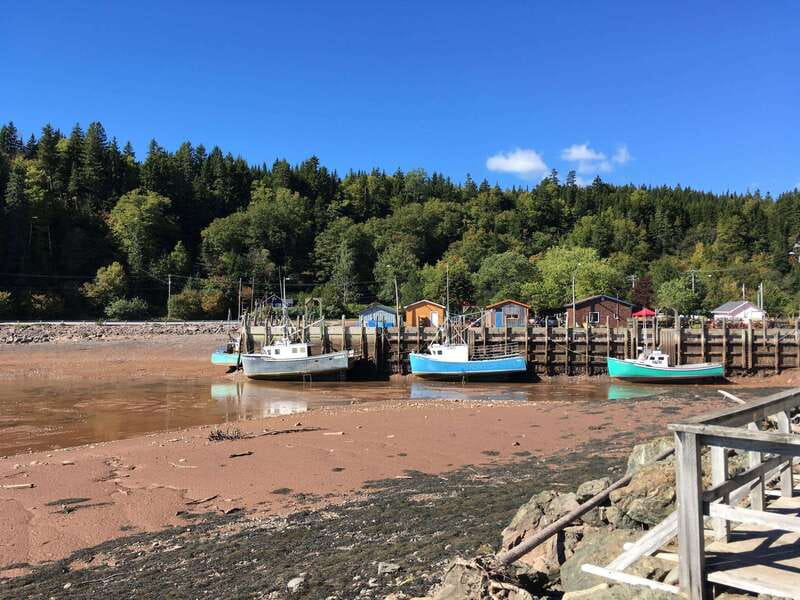 Bay of Fundy Tour by Mini Van - Fort Howe and Carleton Martello Tower