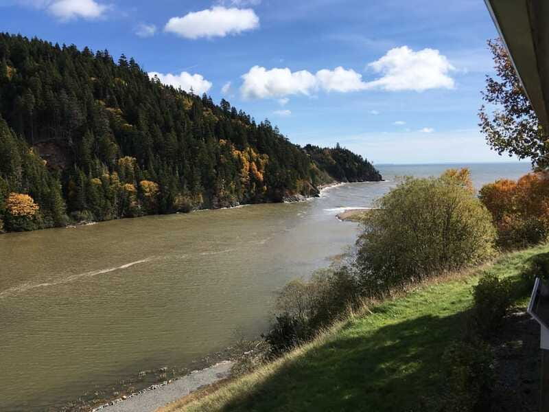 Bay of Fundy Tour by Mini Van - Saint John City Market adds local flavor