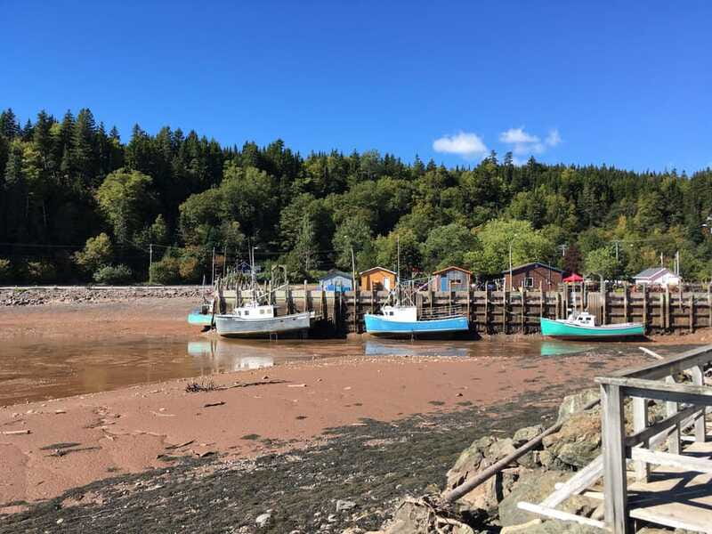 Bay of Fundy Tour by Mini Van - Who will get the most from this tour