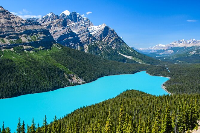 Best of Glaciers from Calgary/Canmore/Banff - Bow Lake: a quieter contrast