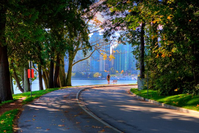 Best of Vancouver Private Tour - Stanley Park begins the tour with trees, water, and totem poles
