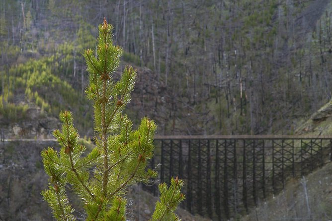 Bicyle Tour on Historical Kettle Valley Railway from Myra Canyon to Penticton - Fitness, bicycles, and the real meaning of 74 kilometers