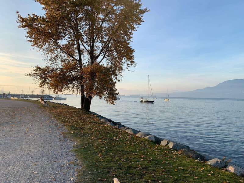 Bike and Hike Vancouver - Granville Island and False Creek by bicycle