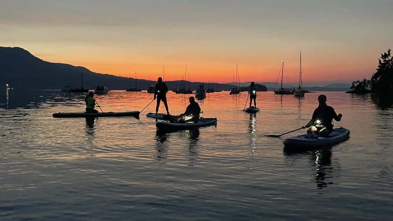 Brentwood Bay: Bioluminescence Tour - Key points to know before you paddle