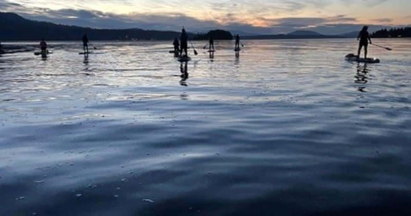 Brentwood Bay: Bioluminescence Tour - Ninety-five minutes of paddling and wildlife watching