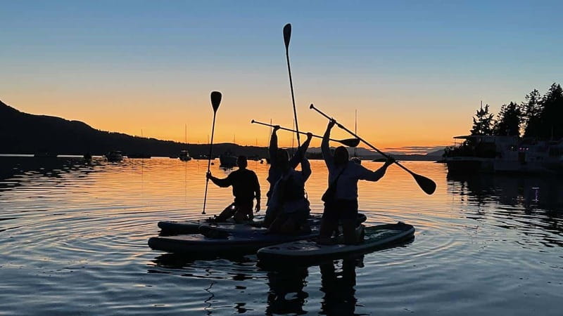 Brentwood Bay: Bioluminescence Tour - How much value you get for $74