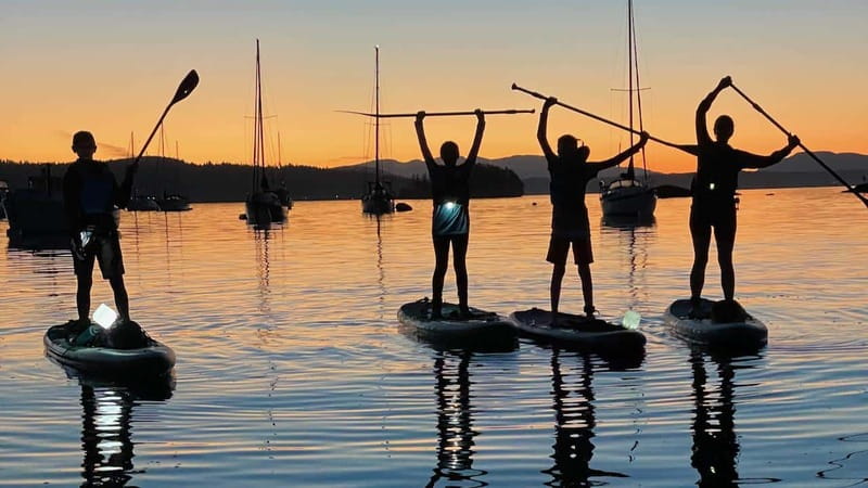 Brentwood Bay: Bioluminescence Tour - Who should book this evening paddle