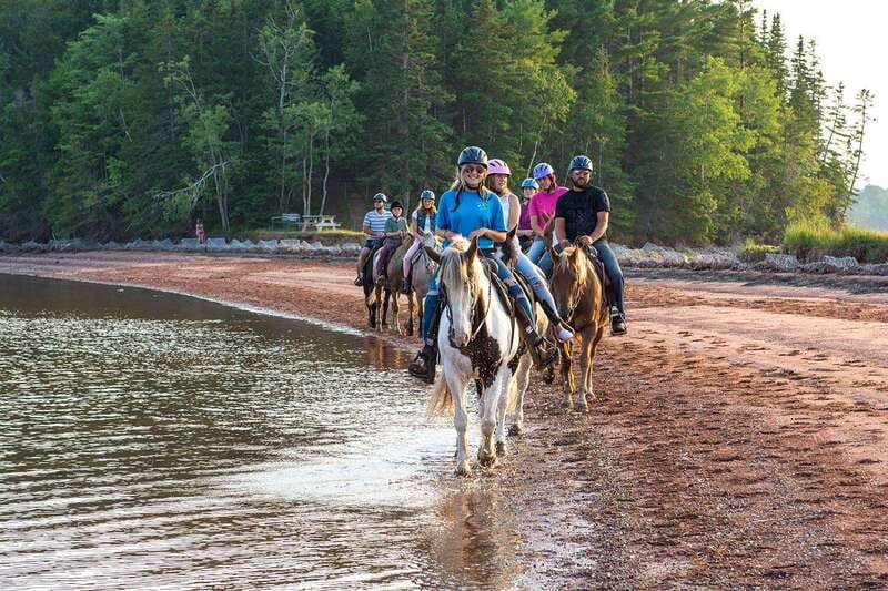 Brudenell: Family-Friendly Horse Ride goes on the Beach - Key points to know before you ride