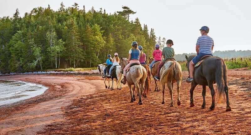 Brudenell: Family-Friendly Horse Ride goes on the Beach - What the horses and guides mean for beginners